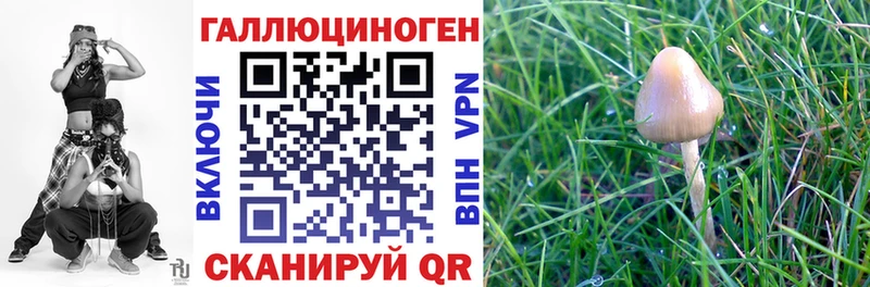 Галлюциногенные грибы Magic Shrooms  даркнет как зайти  Симферополь  наркотики 